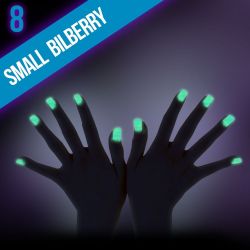 Ozdobný prach Glow - 8. Small Bilberry