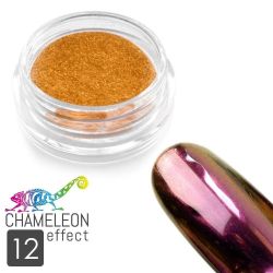 Pyl na nehty - CHAMELEON efekt 12